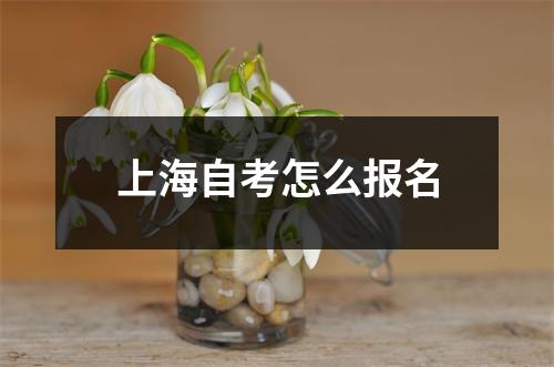 上海自考怎么报名