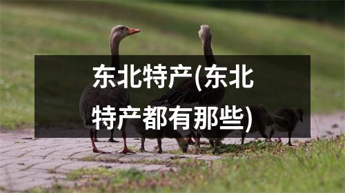 东北特产(东北特产都有那些)