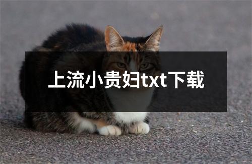 上流小贵妇txt下载