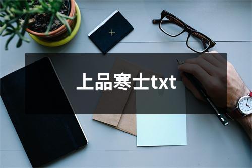 上品寒士txt