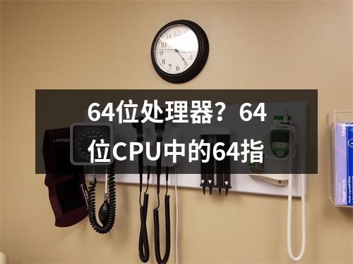 64位处理器？64位CPU中的64指