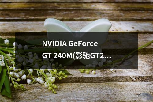 NVIDIA GeForce GT 240M(影驰GT240DDR5真物理1G超强显卡怎么样)