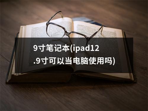 9寸笔记本(ipad12.9寸可以当电脑使用吗)