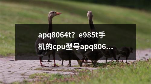 apq8064t？e985t手机的cpu型号apq8064是什么意思