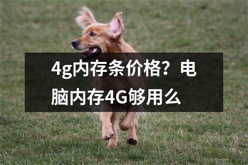 4g内存条价格？电脑内存4G够用么