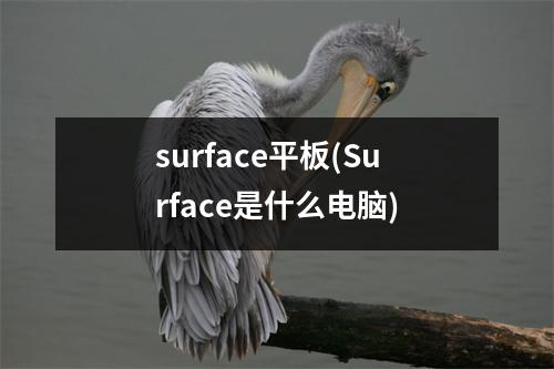 surface平板(Surface是什么电脑)