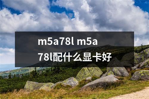 m5a78l m5a78l配什么显卡好