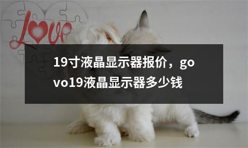 19寸液晶显示器报价，govo19液晶显示器多少钱