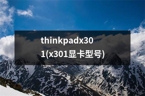 thinkpadx301(x301显卡型号)