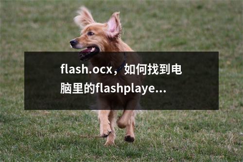 flash.ocx，如何找到电脑里的flashplayer