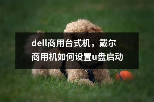dell商用台式机，戴尔商用机如何设置u盘启动