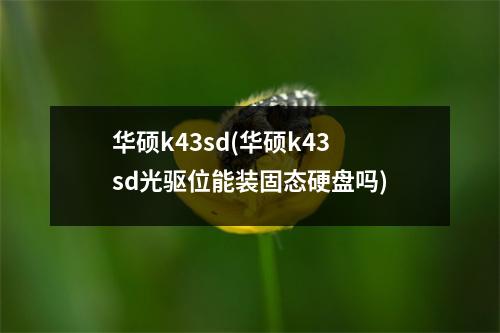华硕k43sd(华硕k43sd光驱位能装固态硬盘吗)