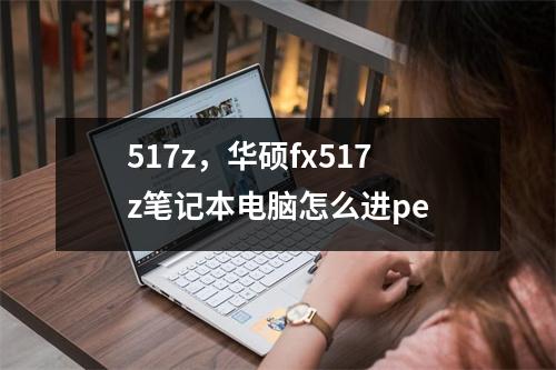 517z，华硕fx517z笔记本电脑怎么进pe
