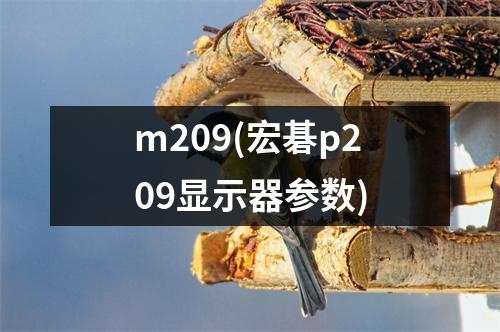 m209(宏碁p209显示器参数)