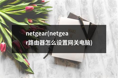 netgear(netgear路由器怎么设置网关电脑)