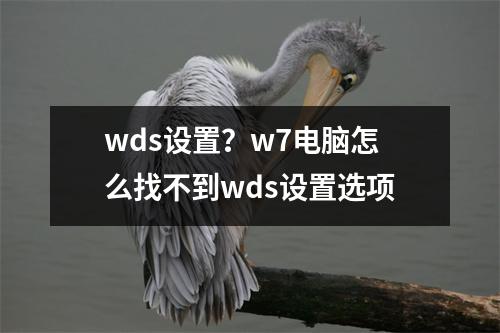wds设置？w7电脑怎么找不到wds设置选项