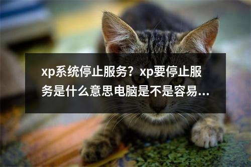xp系统停止服务？xp要停止服务是什么意思电脑是不是容易中病毒对电脑有什么影响