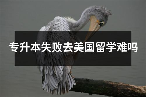 专升本失败去美国留学难吗
