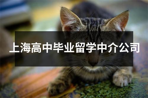 上海高中毕业留学中介公司