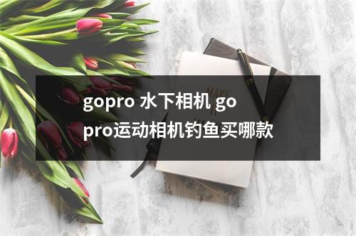 gopro 水下相机 gopro运动相机钓鱼买哪款