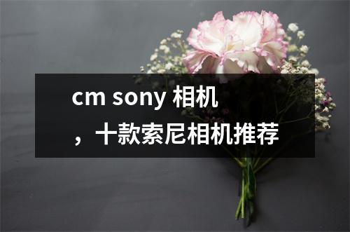 cm sony 相机，十款索尼相机推荐