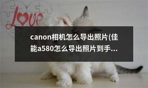 canon相机怎么导出照片(佳能a580怎么导出照片到手机)