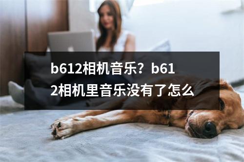 b612相机音乐？b612相机里音乐没有了怎么