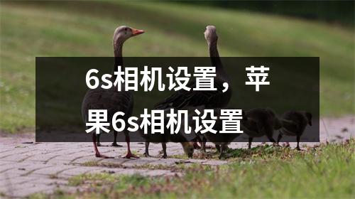 6s相机设置，苹果6s相机设置