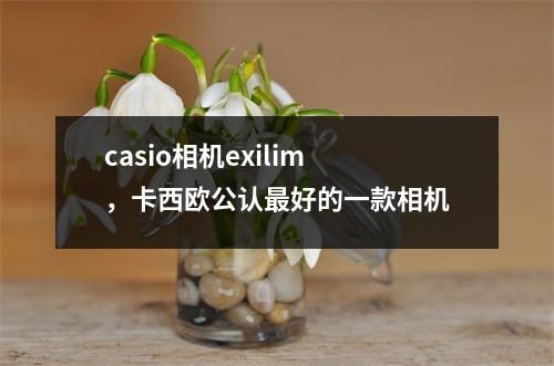 casio相机exilim，卡西欧公认最好的一款相机