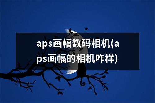 aps画幅数码相机(aps画幅的相机咋样)