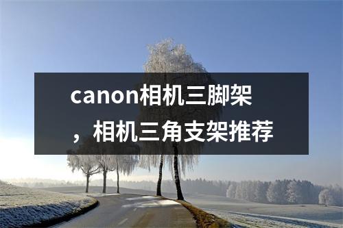 canon相机三脚架，相机三角支架推荐