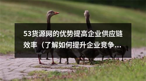 53货源网的优势提高企业供应链效率（了解如何提升企业竞争力）
