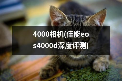 4000相机(佳能eos4000d深度评测)