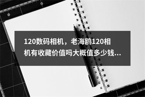 120数码相机，老海鸥120相机有收藏价值吗大概值多少钱六七层新的