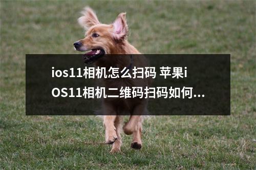 ios11相机怎么扫码 苹果iOS11相机二维码扫码如何使用