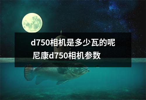 d750相机是多少瓦的呢 尼康d750相机参数