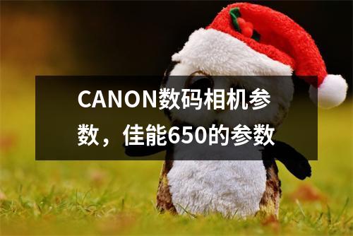 CANON数码相机参数，佳能650的参数