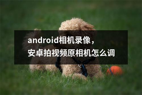 android相机录像，安卓拍视频原相机怎么调