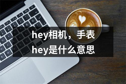 hey相机，手表hey是什么意思
