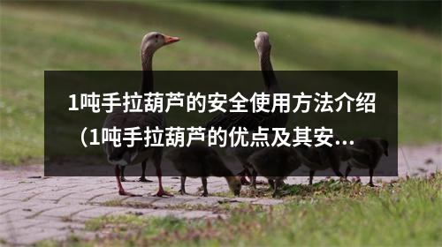 1吨手拉葫芦的安全使用方法介绍（1吨手拉葫芦的优点及其安全使用注意事项）