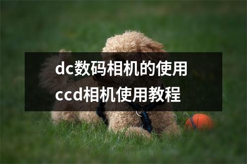 dc数码相机的使用 ccd相机使用教程