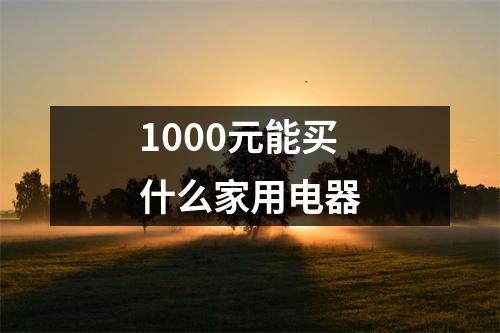 1000元能买什么家用电器