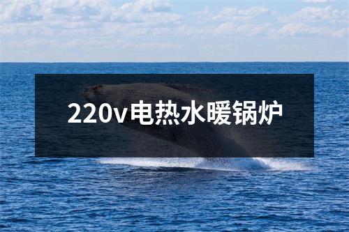 220v电热水暖锅炉