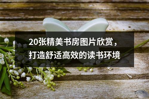 20张精美书房图片欣赏，打造舒适高效的读书环境