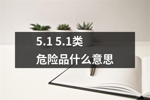 5.1 5.1类危险品什么意思