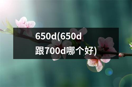650d(650d跟700d哪个好)