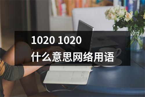 1020 1020什么意思网络用语