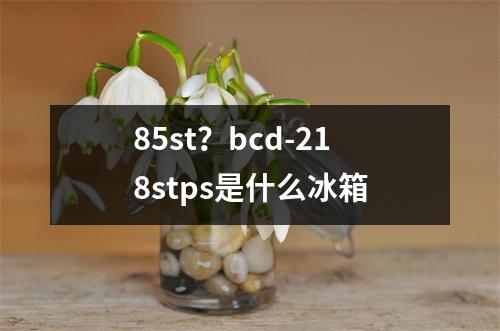 85st？bcd-218stps是什么冰箱