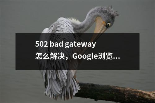 502 bad gateway怎么解决，Google浏览器中提示502badgateway如何解决