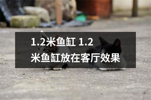 1.2米鱼缸 1.2米鱼缸放在客厅效果